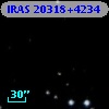 IRAS 20318+4234