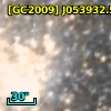 [GC2009] J053932.52-694357.4