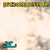 [GC2009] J053948.83-694416.7