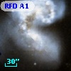 RFD A1