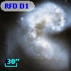 RFD D1