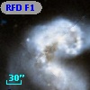 RFD F1