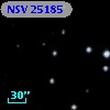 NSV 25185