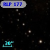 RLP  177