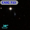 CASG  713