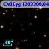 CXOCyg J203308.04+411642.9