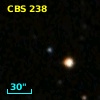 CBS 238