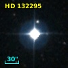 HD 132295