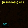 [HSS2009b] 875