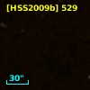 [HSS2009b] 529
