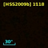 [HSS2009b] 1118