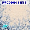 [VPG2009] 11583