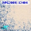[VPG2009] 12404