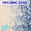 [VPG2009] 13415