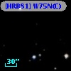 [HRB81] W75N(C)