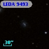 LEDA    9493