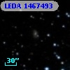 LEDA 1467493