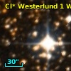Cl* Westerlund    1      W     228b