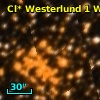 Cl* Westerlund    1      W       6b