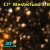 Cl* Westerlund    1      W      86