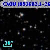 CXOU J083602.1-261850