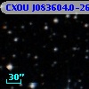 CXOU J083604.0-261953