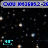 CXOU J083608.2-262035