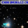 CXOU J083612.2-262322