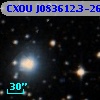CXOU J083612.3-262405