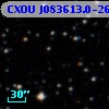 CXOU J083613.0-261904