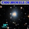 CXOU J083615.1-262433