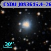CXOU J083615.4-262435