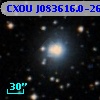 CXOU J083616.0-262430