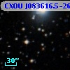 CXOU J083616.5-262137