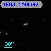 LEDA 2290437