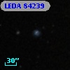 LEDA   84239