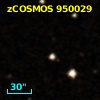 zCOSMOS 950029