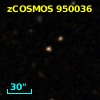 zCOSMOS 950036