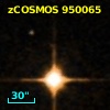 zCOSMOS 950065