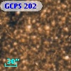 GCPS  202