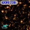 GCPS  229
