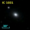 IC 1031