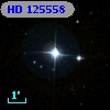 HD 125558