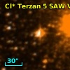 Cl* Terzan    5    SAW V6