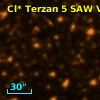 Cl* Terzan    5    SAW V7