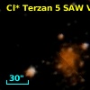 Cl* Terzan    5    SAW V8