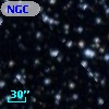 NGC  5617   368