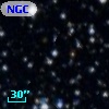 NGC  5617    50