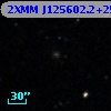 2XMM J125602.2+255636