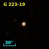 G 223-19